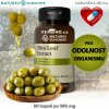 ❤️ Nature’s Sunshine OLIVE LEAF EXTRACT | Extrakt z olivových listov | ODOLNOSŤ ORGANIZMU ❤️ AKCIA: 💰 - 20 % ZĽAVA ❤️ 60 kapsúl po 585 mg ❤️ Nature’s Sunshine® USA - KVALITNÉ 100% Prírodné výži