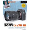 David Busch's Sony Alpha A7R III