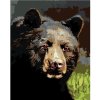 Zuty – Maľovanie Podľa Čísel – Portrét Medveď (D. Rusty Rust), 40 × 50 cm, Plátno + Rám 8596530213130