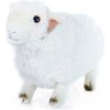 Plyšová ovečka