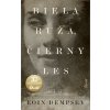 Biela ruža, Čierny les - Eoin Dempsey