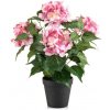 Hortenzia ružová v kvetináči, 38cm (umelý kvet)