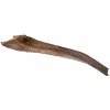 Trixie Palmový list 50-65 cm pre plazy na lezenie (1ks)