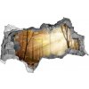 Diera 3D v stene na stenu Hmla v lese 95x73 cm