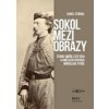 Sokol mezi obrazy - Karel Stibral