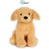 Play Eco Plyšák zlatý retriever 22 cm