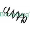 BORSEHUNG Pružina podvozku B12626