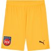 Puma | 1. FC Heidenheim TW-Short 2024/2025 kids | žltá| 152