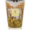 Baobab Collection Sacred Trees Cocody 24 cm