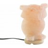 Stolná lampa DKD Home Decor Ružová Soľ Agátové drevo 15 W 220 V 14 x 14 x 18 cm