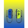 Nintendo Joy-Con Pair NSP065