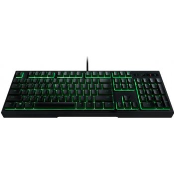 Razer Ornata RZ03-02041700-R3M1