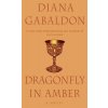 Dragonfly In Amber