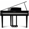 Kawai DG30