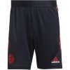 Pánske šortky Adidas Bayern Mníchov 21/22 TR Veľkosť: S