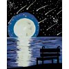 Diamondi Diamantové maľovanie - LAVIČKA MESIAC A PERSEIDY Rámovanie: vypnuté plátno na rám, Rozmer: 40x50 cm