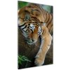 Vertikálny foto obraz akrylový Tiger na strome 50x100 cm