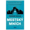 Mestský mních - Pedram Shojai