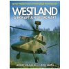 Westland and the Attack Helicopter
