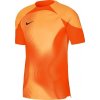 Nike Dri FIT ADV Gardien 4 DH7760 819 goalkeeper jersey 94048