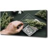 Foto obraz na plátne Marihuana 100x50 cm