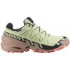 Salomon Speedcross 6 GTX W - Lime Cream/Mahogany Rose/Black 38