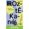 E-kniha Roztěkané - Klára Kubičková, Jana Srncová