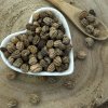 Bioruža Kapucínka väčšia - semeno celé - Tropaeolum majus - Semen tropaeoli 250 g