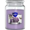 Bispol Lavender Maxi sviečka v skle s viečkom 500 g, levanduľa, Akcia