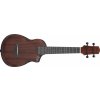 Ibanez AUC14 Violin Sunburst