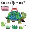Co se děje v ZOO? - leporelo - Petr Šulc