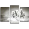 Sablio Obraz - 3-dílný Biele kone - 75x50 cm