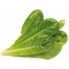 Click and Grow® sadenice Rímsky šalát Balenie: Veľké balenie - 9ks