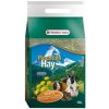 VL Hay seno s púpavou pre hlodavce 500g
