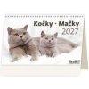 Kočky 2027 - stolní kalendář - autor neuvedený