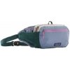 Patagonia Terravia Hip Pack