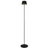 TRIO Reality R47706132 SUAREZ vonkajšia stojacia lampa SMD LED V1230mm 1,5W/200lm 3000K IP44 čierna matná, nabíjateľná batéria, USB-C port, ON/OFF