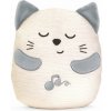 Chicco First Dreams