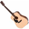 Ditson D-10L