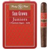 Rocky Patel Sun Grown Juniors 5 ks