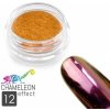 Allepaznokcie chameleon ekekt pigment