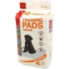 Dog Fantasy Podlozka Orange 55,8 x 55,8 cm 50 ks