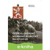 Československé vojenské jednotky na východě - Miroslav Brož, Milan Kopecký