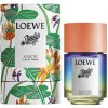 Loewe Paula’s Ibiza Eclectic toaletná voda unisex 50 ml