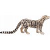 Animal Planet Leopard číhajúci
