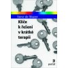 ​Klíče k řešení v krátké terapii - deShazer Steve