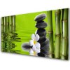 Nástenný panel Bambus kamene rastlina 100x50 cm