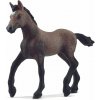 Schleich Žriebä plemena peruánsky paso