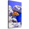 Vertikálny foto obraz na plátne do obývačky Ryba Nemo 50x100 cm