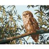 Diamondi Diamantové maľovanie - SOVA NA KONÁRI A LISTY (D. RUSTY RUST) Rámovanie: vypnuté plátno na rám, Rozmer: 40x50 cm